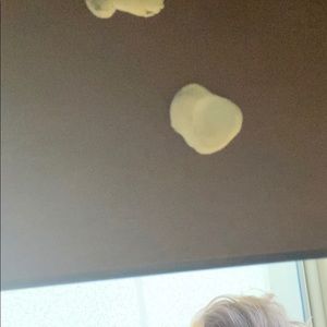 Meet your Posher, Jon